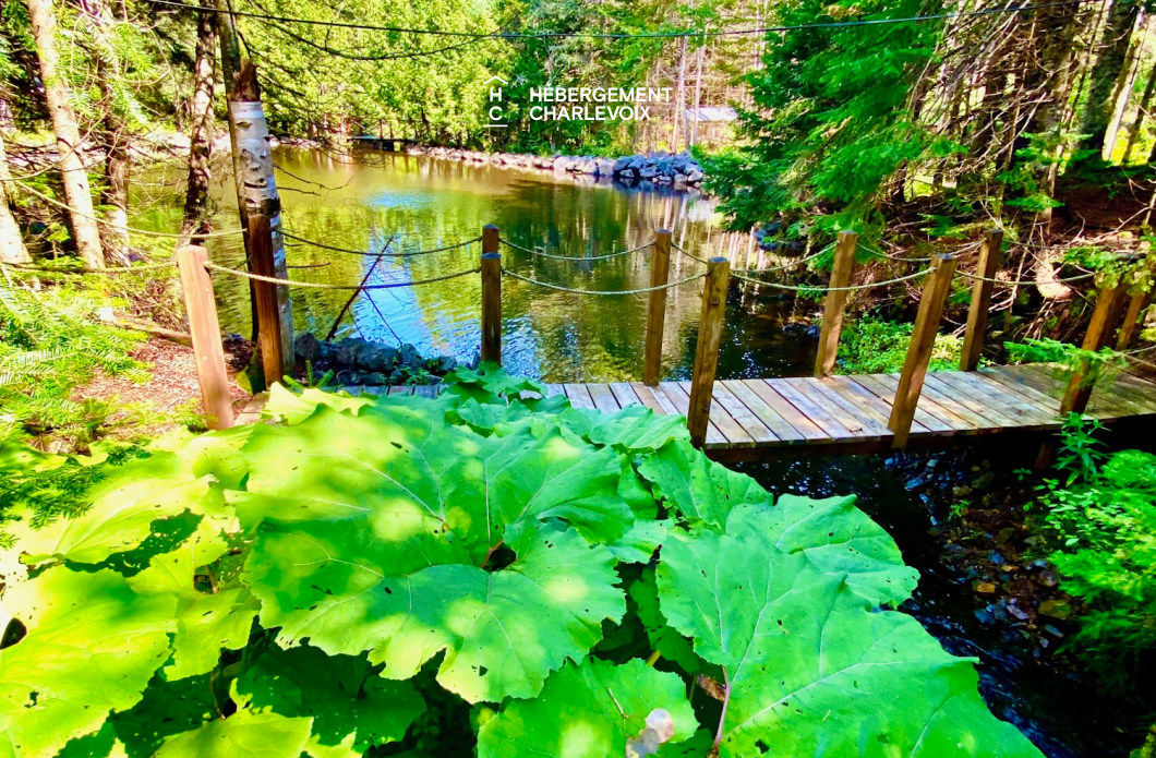 NIF-256 - Cottage on the edge of a lake with trail, waterfall and pond